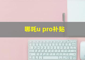 哪吒u pro补贴